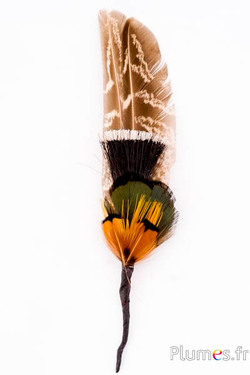 Composition en plumes n° 15 - longueur 17 cm - naturel